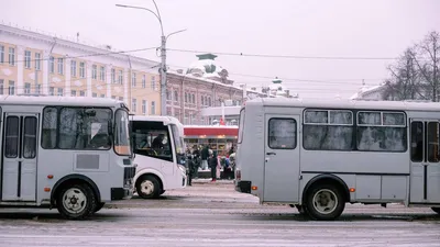 Раскрыто, в каких областях России самые опасные автобусы - Quto.ru