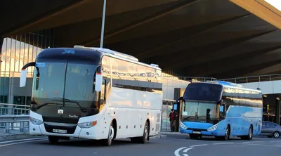 Китайские автобусы завоевывают Россию