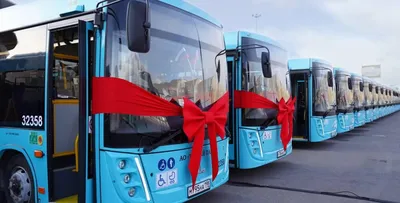 Продажи белорусских автобусов МАЗ в России заметно просели | Новости  Беларуси | euroradio.fm