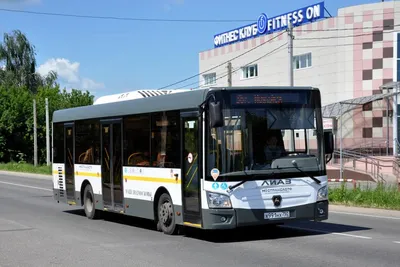 Какие современные автобусы ездят в российских городах