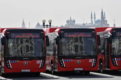 Дождались автобуса. Города России обзаводятся новым транспортом |  Общественный транспорт | Общество | Аргументы и Факты