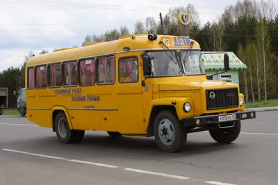С табличкой «Дети»: как обстоят дела в России со школьными автобусами? —  Авторевю