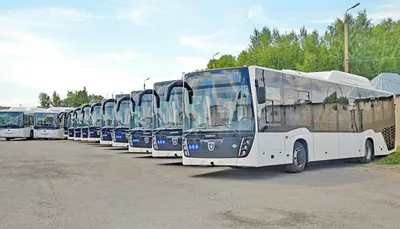 По планам в России к 2020 г каждый второй автобус будет ездить на КПГ