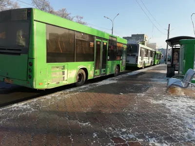 Автобусы для футболистов — в Европе и в России — Авторевю