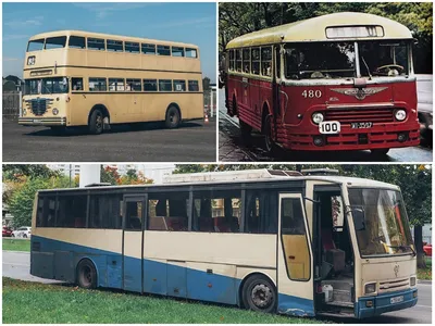 Журнал «За рулем» составил ТОП-3 самых странных автобусов времен СССР