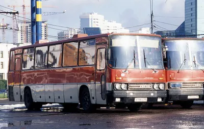 Автобус ЛАЗ 695 СССР советский ретро: 8 000 000 тг. - Автобусы Алматы на Olx