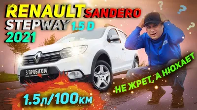5 причин покупать и не покупать Renault Sandero Stepway I (B90) - КОЛЕСА.ру  – автомобильный журнал