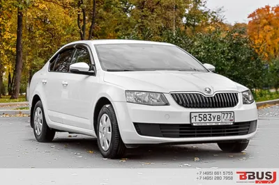 Трансфер и аренда автомобиля SKODA Octavia белая белого цвета, 2019-2020  года с водителем