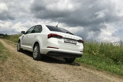 Škoda Rapid: баланс между экономичностью и современными технологиями в  одном автомобиле - 21 августа 2019 - v1.ru