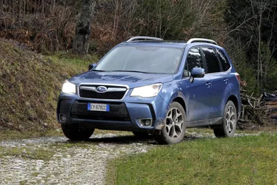 Subaru Forester - цены, отзывы, характеристики Forester от Subaru