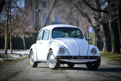 Volkswagen Beetle (Фольксваген Битл) - Продажа, Цены, Отзывы, Фото: 44  объявления