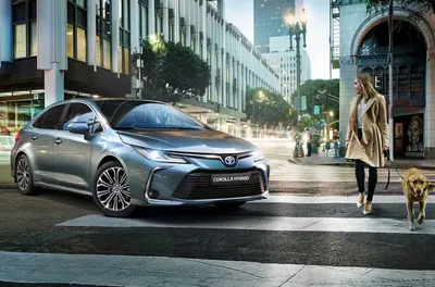 Новая Toyota Camry 2021 – фото в новом кузове, цена у официального дилера