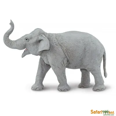 Азиатский слон 88486b от Collecta за 789 руб. Купить официальном магазине  Collecta