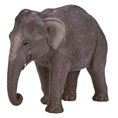 С анимацией Азиатский слон 3D модель - Скачать Животные на 3DModels.org