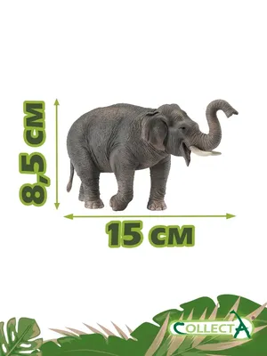 Картина \"Индийский слон\" | Дизайн-студия «AnaBrush»