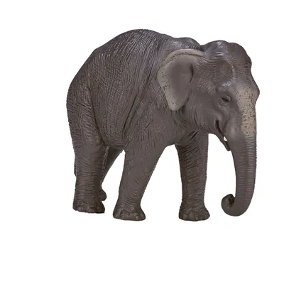 Elephants: лучшие изображения без лицензионных платежей, стоковые  фотографии, картинки | Shutterstock