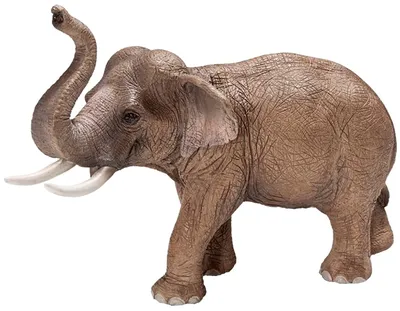 Статуэтка декоративная Индийский слон купить по очень низкой цене с  доставкой в Киев, Одессу, Харьков, Львов, Днепропетровск.