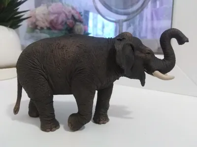 SCHLEICH Азиатский слон, самка артикул 14753 купить в Москве в  интернет-магазине детских игрушек и товаров для детей