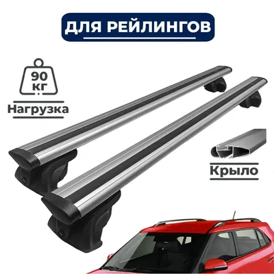 Багажник на крышу автомобиля: какой выбрать и как правильно установить -  Quto.ru