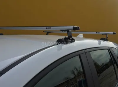 D-LUX 1 Стандарт - багажник на крышу автомобиля