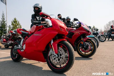 Картинки с байкерами на спортивных мотоциклах