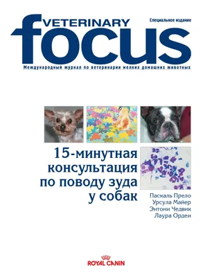 Бактериальный фолликулит у собак / Canine bacterial folliculitis