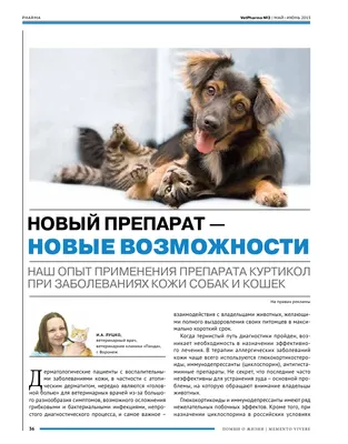 Себорейный дерматит у собак (ч.3) | Zoetis Россия | Дзен