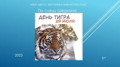 29 июля – Международный день тигра