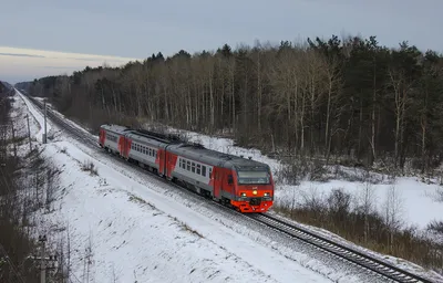 Rail Baltica: в будущем на поездку из Таллинна в Вильнюс потребуется менее  4 часов - Delfi RUS