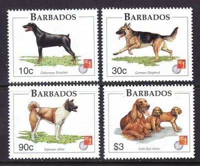 Барбадос 1997 собаки породы | stamp35