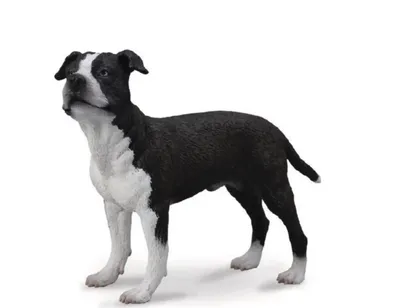 Плюшевый пенал с изображением собаки BB FUNHOUSE | AliExpress