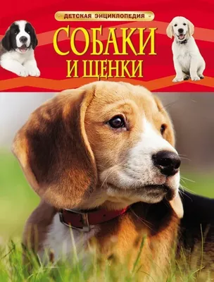 Сувенир Gray собака Шарпей №1, серый — купить сувениры по цене 350 руб  (a66158) оптом | Магазин 100SUVENIROV.RU