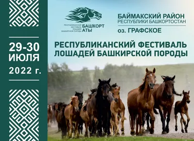 Роспатент защитит бренд «Башкирская лошадь» — РБК