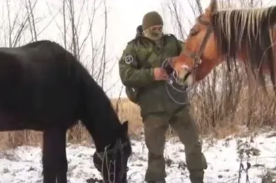 В Баймаке у озера Графское появится туробъект, посвященный башкирской лошади  - СобкорУфа - Новости Уфы и Башкирии