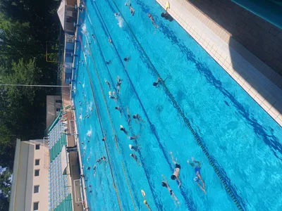 В Бийске открылся обновлённый бассейн \"Дельфин\"