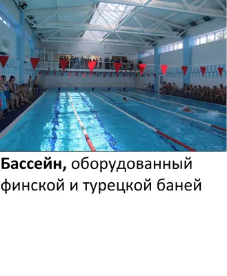 Коррупция, смерть парня и растрата средств: коллектив бассейна «Дельфин» в  Бишкеке заявил о нарушениях руководства
