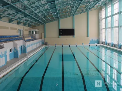 Уникальный бассейн появится в воронежском парке «Дельфин»