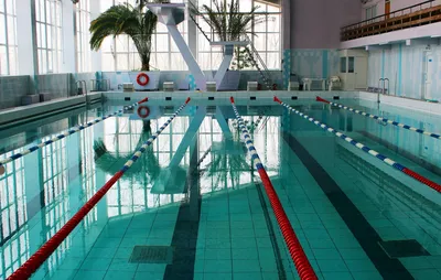 Таганрогский бассейн «Дельфин» отремонтируют до конца 2023 года | АиФ  Ростов | Дзен
