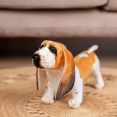 Мягкая игрушка \"Собака Бассет хаунд\", 26 см купить в интернет магазине  Растишка в Тамбове