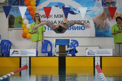 База отдыха Дельфин - Хабаровск, Хабаровский край, фото базы отдыха, цены,  отзывы