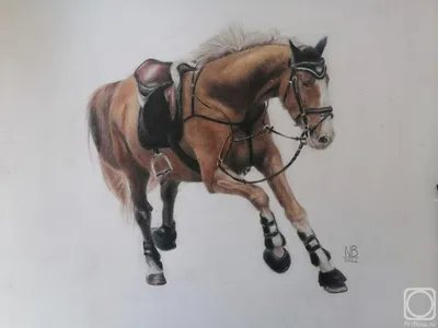Бегущая лошадь\"» картина Будник Екатерины (бумага, карандаш) — купить на  ArtNow.ru
