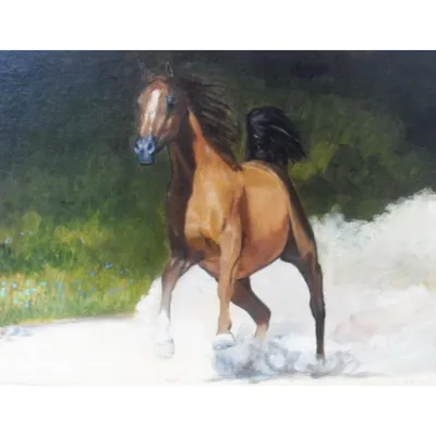 Онлайн пазл «Бегущая лошадь»
