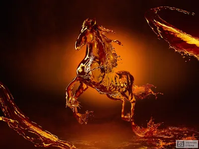 Модульная картина 53 \"Бегущая лошадь\" – фото в интерьере | Купить, цена 9  220 руб.