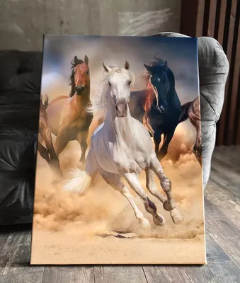 Лошадь бегущая рисунок карандашом - 65 фото