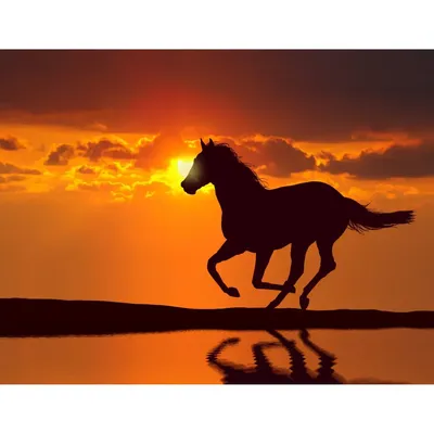 Купить Картина на холсте Бегущая лошадь 100х80 см | Интернет-магазин Сити  Бланк