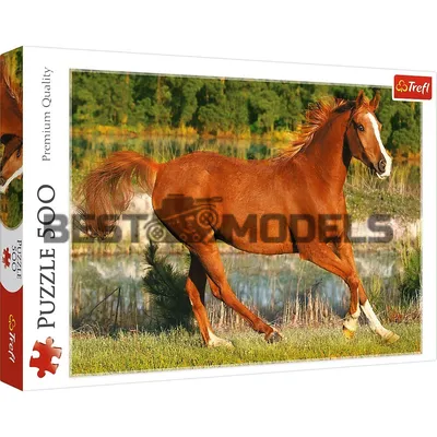 Алмазная мозаика Seichi Бегущая лошадь 15х20 см купить по цене 167 ₽ в  интернет-магазине Детский мир
