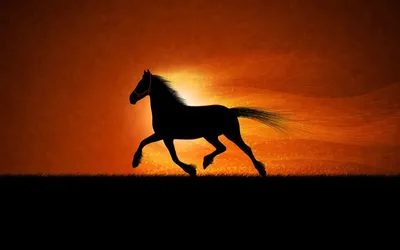коричневая лошадь бежит по грязному полу, картинка бегущей лошади, лошадь,  животное фон картинки и Фото для бесплатной загрузки
