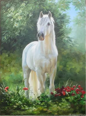 Белая лошадь (Кагор). – Лошади дзержинский – конные прогулки, обучение  верховой езде