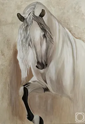 Картина Белая лошадь (ч/б)