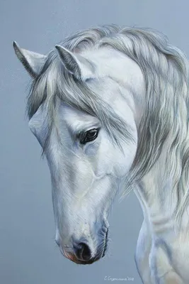 Фотография \"Белая лошадь\" - купить в интернет-магазине.